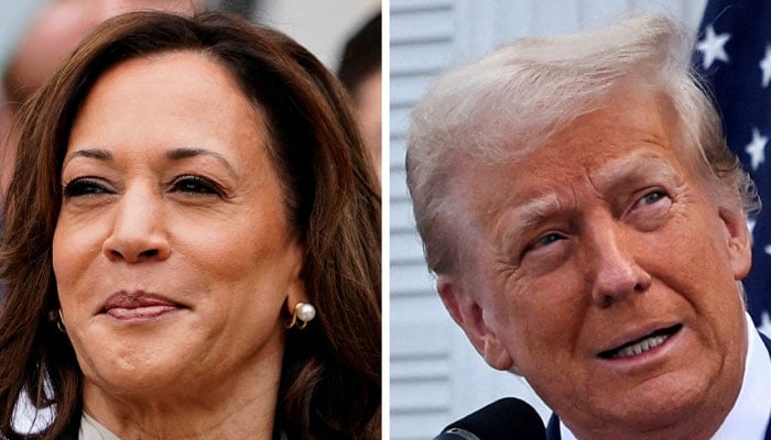 US Vice President Kamala Harris at the White House, Washington, US, July 22, 2024 and former US President Donald Trump in Bedminster, New Jersey, US, August 15, 2024 — Reuters.