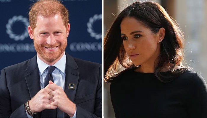 Meghan Markle ‘losing Prince Harry after he gave up royal roots for years