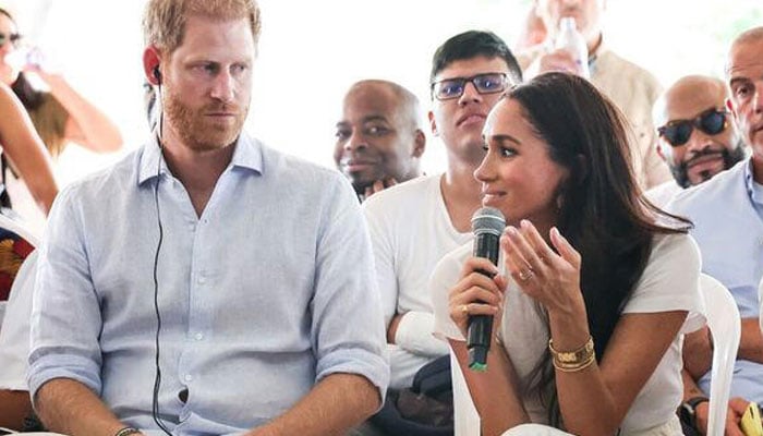 Le prince Harry et Meghan Markle qualifiés de « roi et reine de la création de déchets humains »