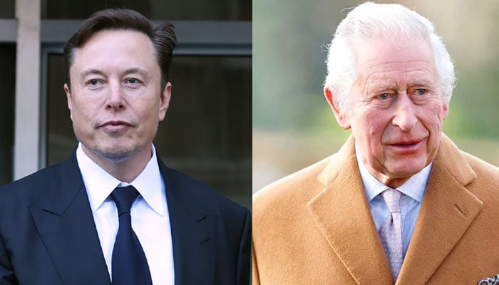 Elon Musk makes rare remarks about British monarchy