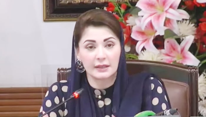 Punjab Chief Minister Maryam Nawaz addressing a press conference in Lahore, on October 16, 2024. — Screengrab/GeoNews