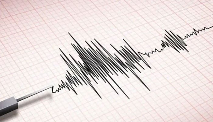 A representational image of seismic waves. — AFP/File