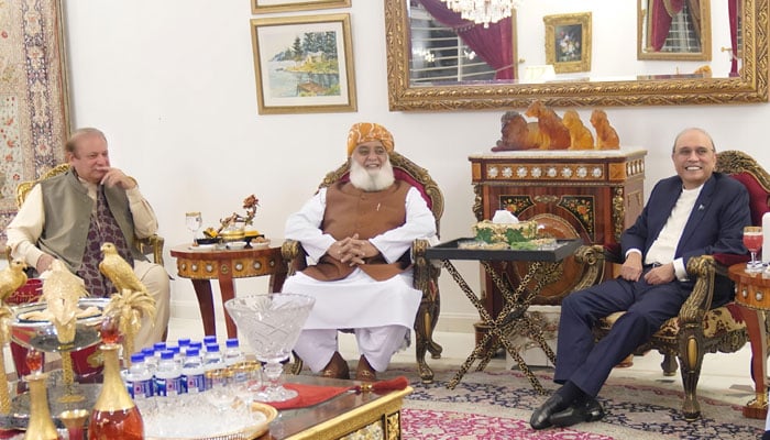 (From left to right) PML-N President Nawaz Sharif, JUI-F chief Maulana Fazlur Rehman and President Asif Ali Zardari meet at former’s Jati Umra residence on October 16, 2024. — Reporter