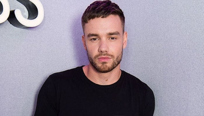 Hotel staff unveils Liam Paynes erratic behaviour before singers death