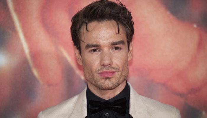 Liam Payne shared glimpses of his relationship status with with girlfriend before death