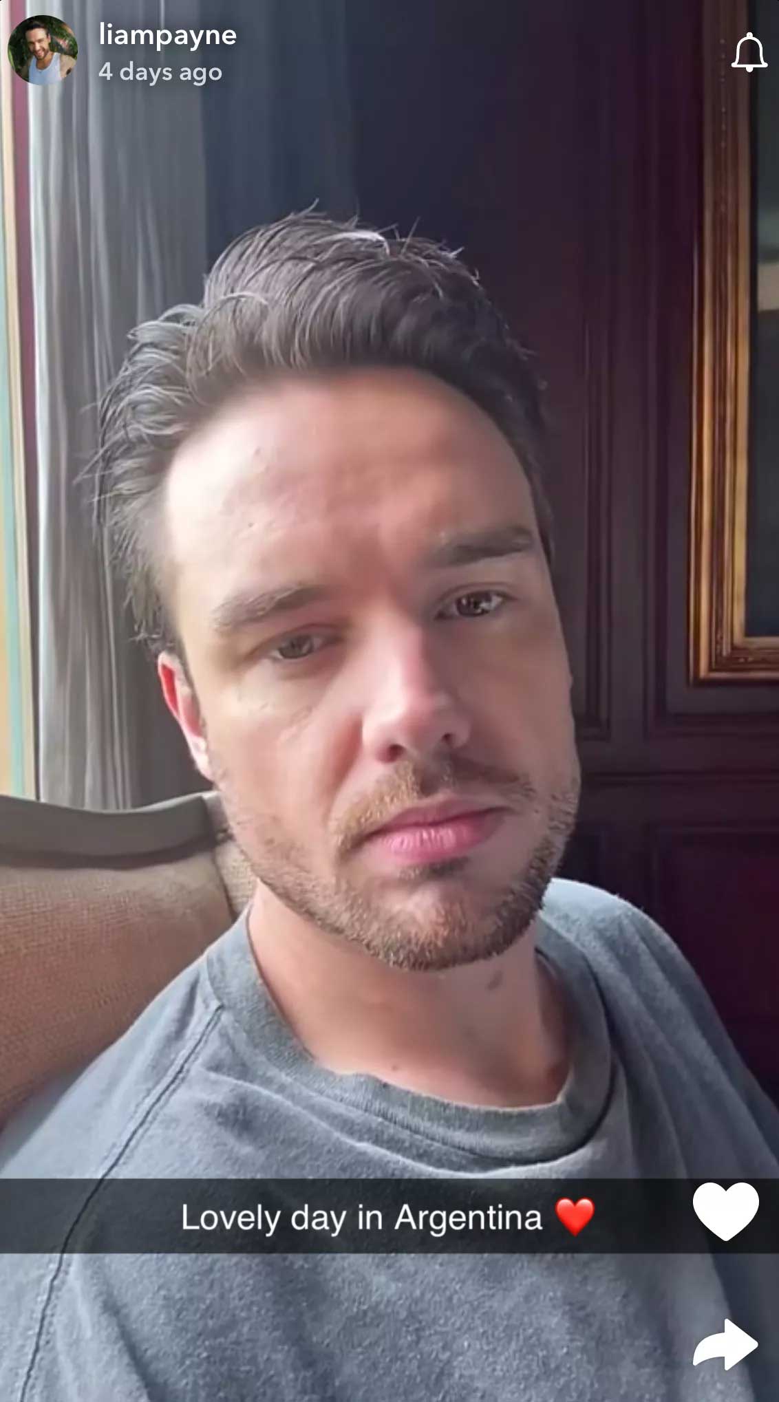 Liam Payne shared glimpses of his relationship status with with girlfriend before death