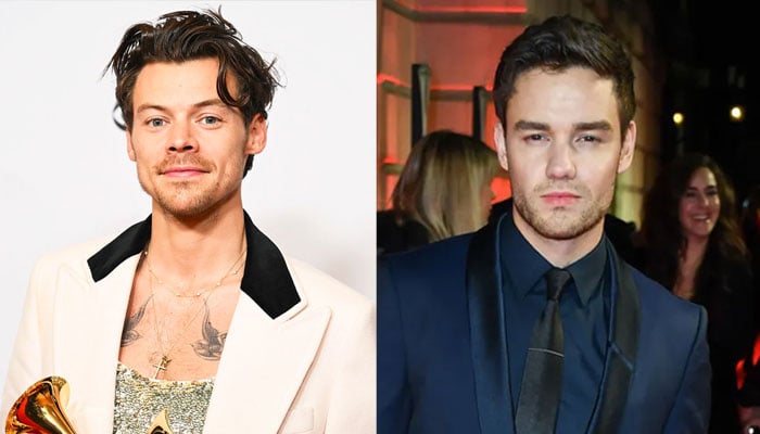 Harry Styles devastated by Liam Paynes untimely death