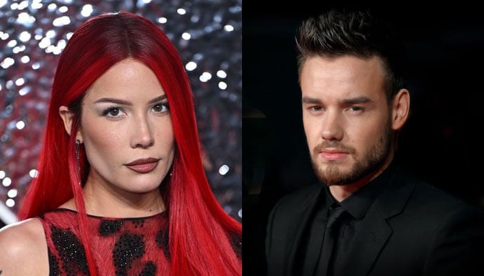 Halsey speaks out on Liam Paynes shocking death