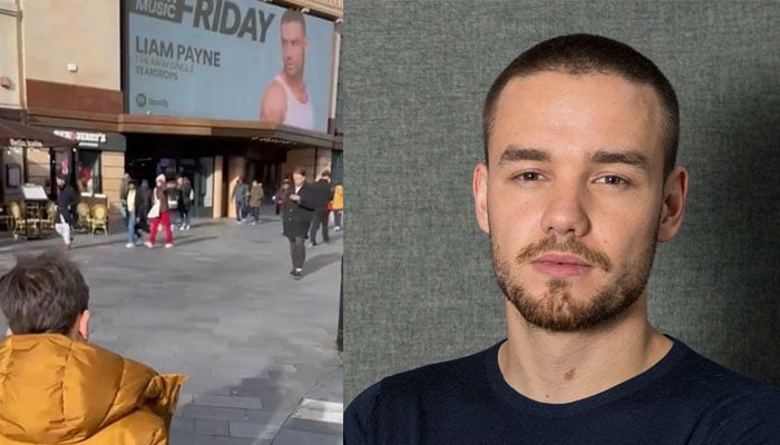 Liam Paynes philanthropic tribute to son Bear gets nod from charity