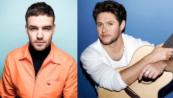 Niall Horan pays a heart-wrenching tribute to Liam Payne