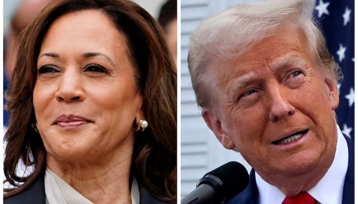 Vice President Kamala Harris (left) and former president Donald Trump (right) — Reuters/File