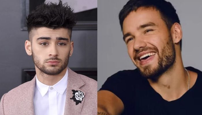 Zayn Malik halts STAIRWAY TO THE SKY tour after Liam Paynes tragic loss