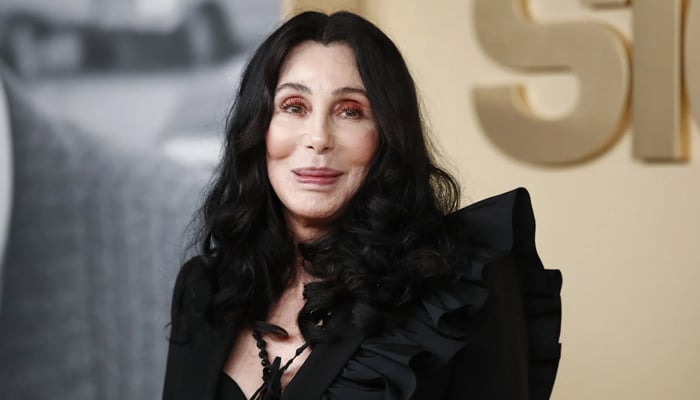 Cher warms up to Rock and Roll Hall of Fame induction: a love hate relationship