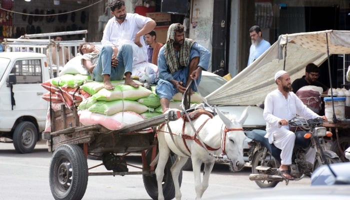 Donkey cart rider during hot day of summer at Saddar area in Karachi on June 1, 2024. —PPI