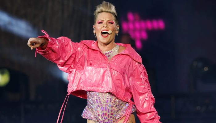 Pink sparks concern amongst fans after cancelling four tour shows