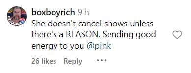 Pink sparks concern amongst fans after cancelling four tour shows