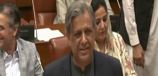 Law Minister Azam Nazeer Tarar addressing the Senate session on October 10, 2024.