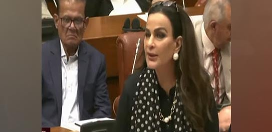 PPP Senator Sherry Rehman addressing the Senate session on October 10, 2024.