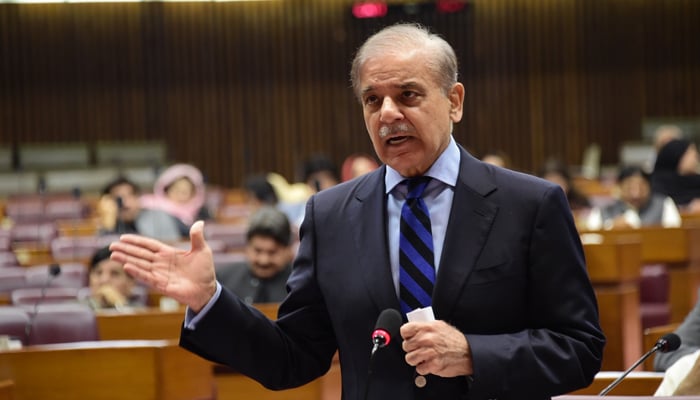 Prime Minister Shehbaz Sharif addressing the National Assembly, on October 21, 2024. — X/@NAofPakistan