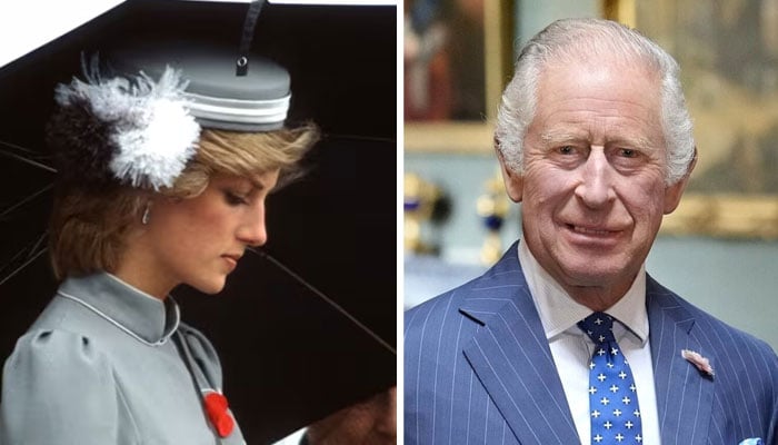 New evidence pins blame on King Charles for Princess Dianas 1997 car crash: Report