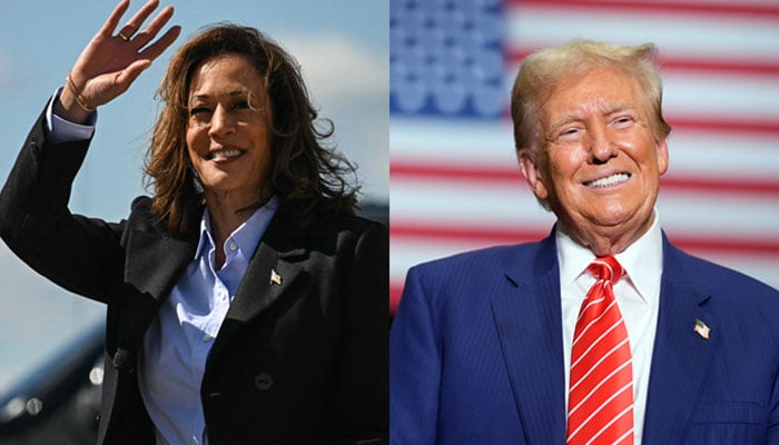 Vice President Kamala Harris (L) and former president Donald Trump.— AFP/File