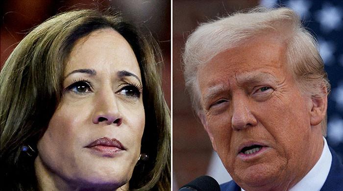 Harris campaign reports spending 0 million in September, far more than Trump’s  million in spending

 – Newsad