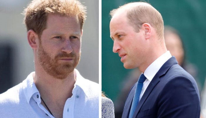 Prince William is starting to doubt Prince Harry’s mental capacity after major blunder