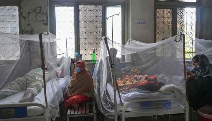 Dengue outbreak likely to decline by next month: PMD