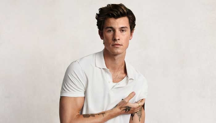 Shawn Mendes set to perform at 2024 MTV EMAs