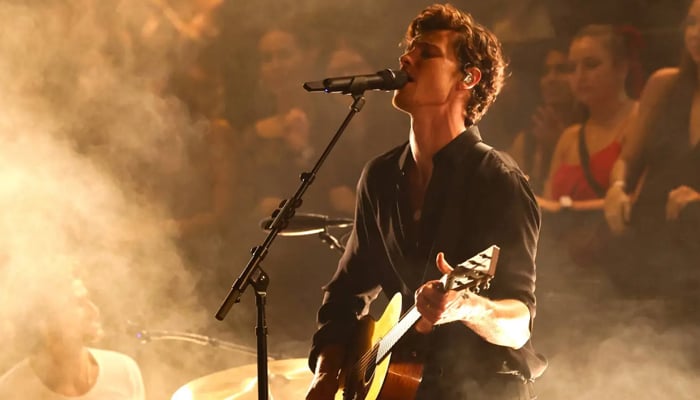 Shawn Mendes goes vocal over identity in live song