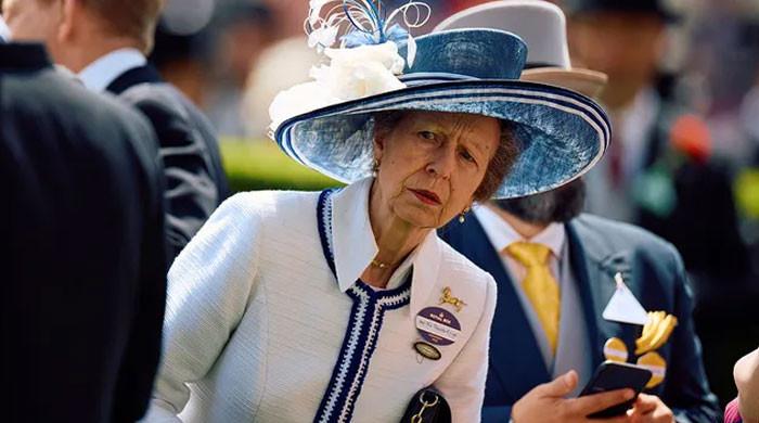 Princess Anne says ‘relevance’ in monarchy should not be ‘dealt’