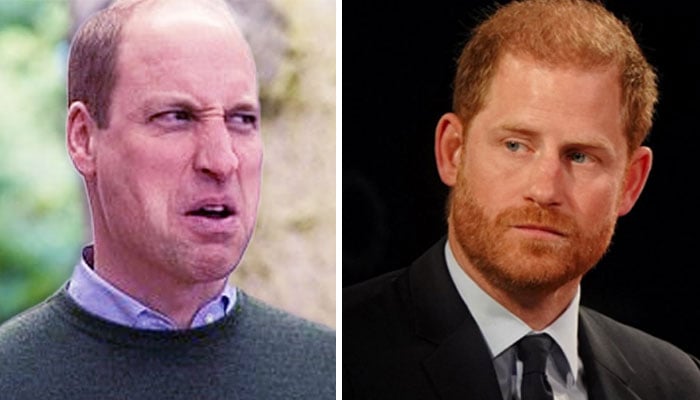 Prince William has growing fears about Prince Harry