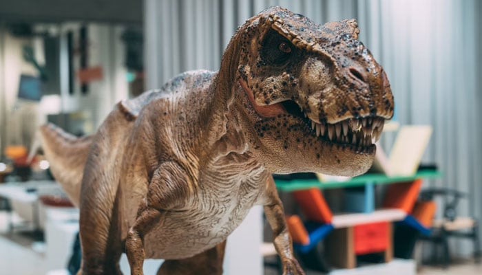 A representational image showing a model of a dinosaur. — Unsplash