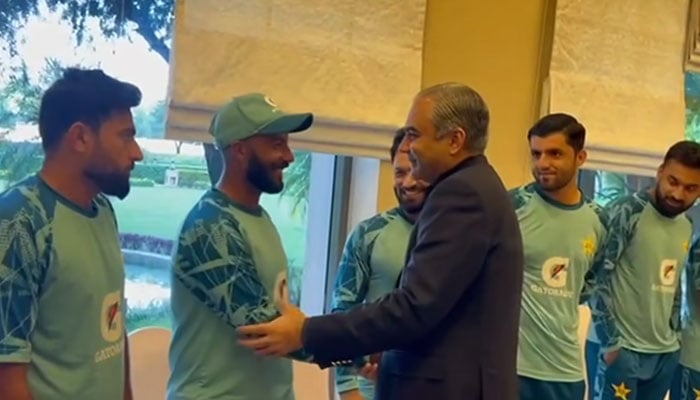 PCB Chairman Mohsin Naqvi shakes hands with Sajid Khan while meeting team players after Pakistan’s home series win against England on October 26, 2024. — Facebook/@PakistanCricketBoard