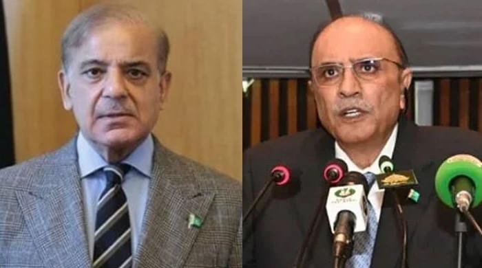 President Zardari, PM Shehbaz reaffirm Pakistan’s support for Kashmiris on Black Day