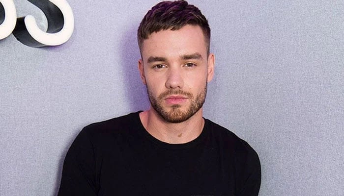 Liam Paynes highly anticipated Netflix series receives upsetting update