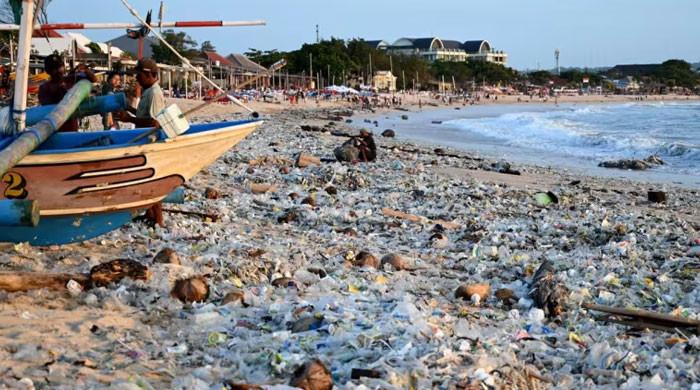 Numbers reveal harrowing reality of growing scourge of plastic pollution