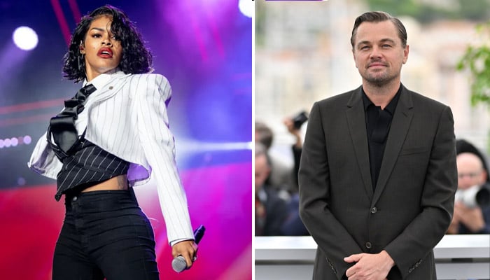 Leonardo DiCaprio, Tenaya Taylor dating rumour comes into light