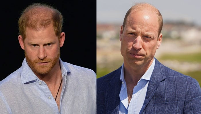 Prince Williams comments about Prince Harry land him under a microscope