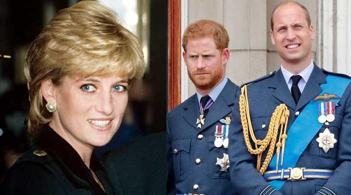 Princess Diana would recall ‘rough night' amid William, Harry rift