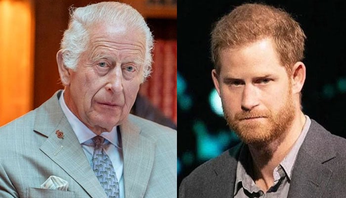 King Charles ‘slow burning plan for Prince Harry revealed