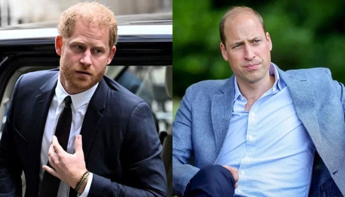 Prince William seemingly adopts Prince Harrys ‘distinctive gestures in new doc