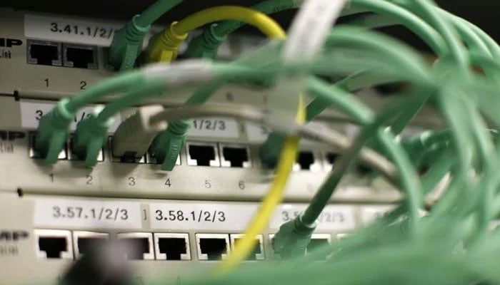 Ethernet cables used for internet connections are pictured in a Berlin office, August 20, 2014. — Reuters