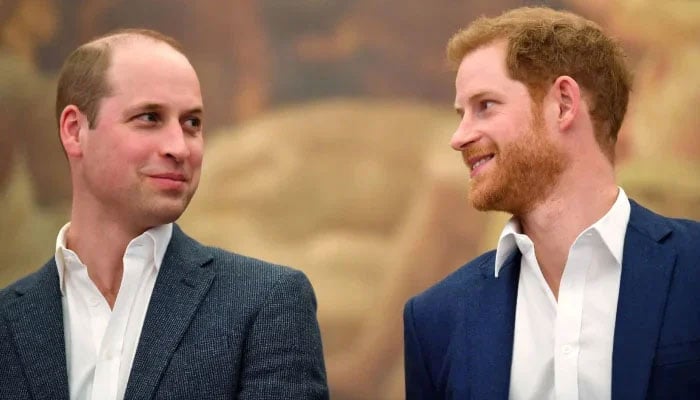 Prince William takes step towards reconciling with Prince Harry in new doc