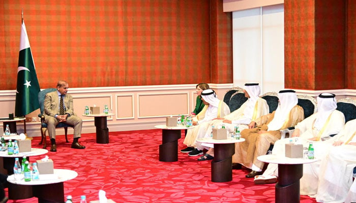 Prime Minister Shehbaz Sharif in meeting with Qatari businessmens association delegates on November 1, 2024. — PID