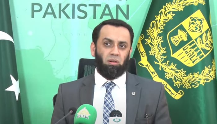 Federal Minister for Information and Broadcasting Attaullah Tarar addresses the press conference in Islamabad on November 1, 2024. — Screengrab via Geo News