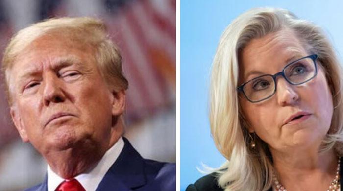 Trump suggests Liz Cheney should face firing squad for her foreign policy stance