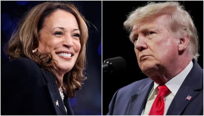 Democratic presidential nominee and US Vice President Kamala Harris and former US President Donald Trump — Reuters/File