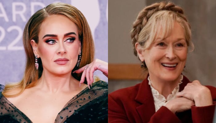 Adele shared a teary eyed moment with actress Meryl Streep soon after a similar moment with Celine Dion