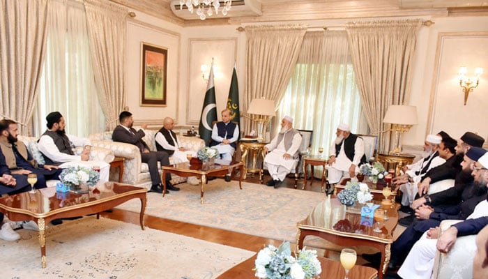 Prime Minister Shehbaz Sharif (fifth from left) meets a meeting of influential and renowned business personalities from the United Kingdom on November 3, 2024. — Radio Pakistan